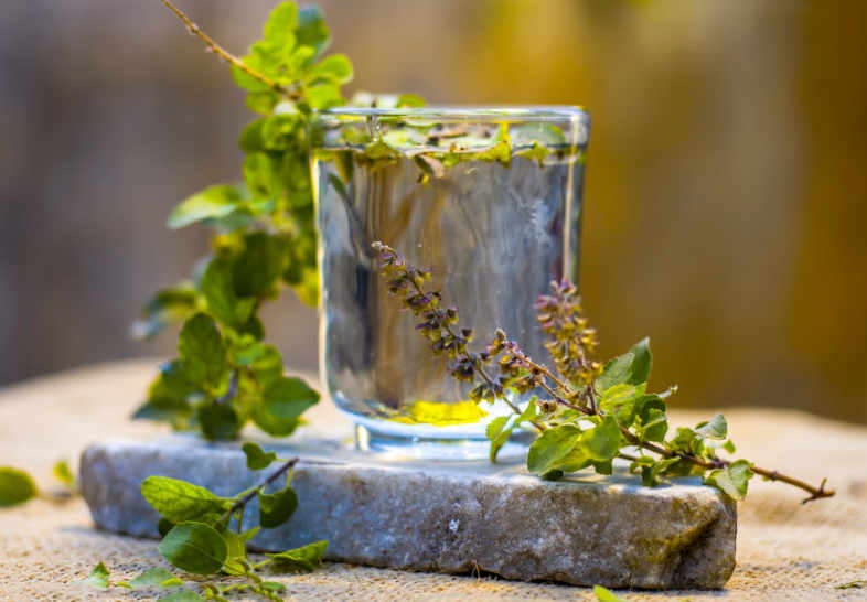 Tulsi: Mother Nature’s Gift to Humanity.