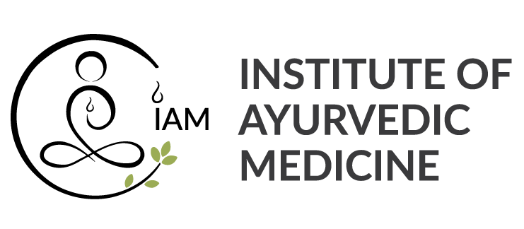 Institute4Ayurveda