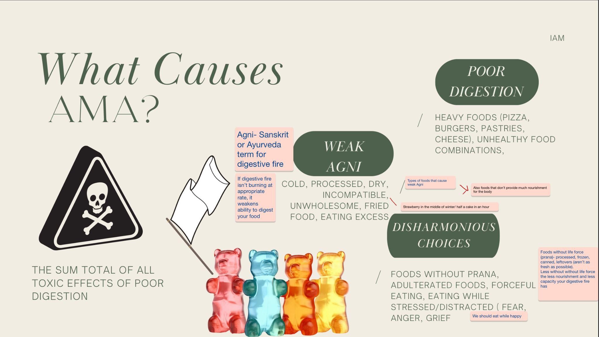 How I Plan To Incorporate Ayurvedic Dietary Strategies In My Own Life ...
